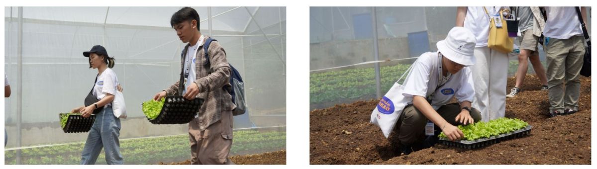 11 July 2023 – Project LAKBAY fellows carrying seed trays for the Lettuce Planting Activity at SVD Laudato Si’ Farm.