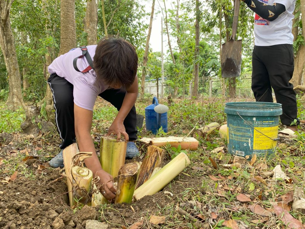 UPOU-FMDS Holds a Ceremonial Tree Planting Activity in Celebration of ...